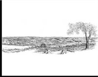 Le paysage et la formation géologique du Mont Gargan 